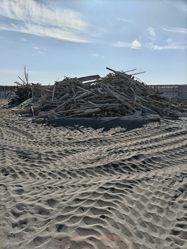 元ニート引籠りが眺めていた高浜台の内側に積み上げられた流木の山