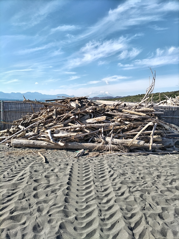 引籠りニートだったセル齋藤が眺めていた高浜台の砂地に積み上げられた大量の大きな流木