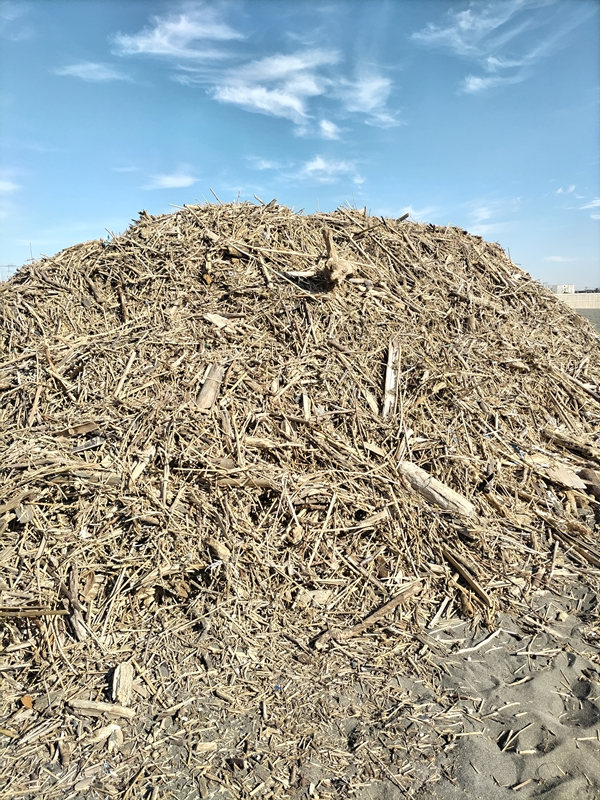 元ニート引籠りが見ていた高浜台の砂地に高く積み上げられた木くずの山