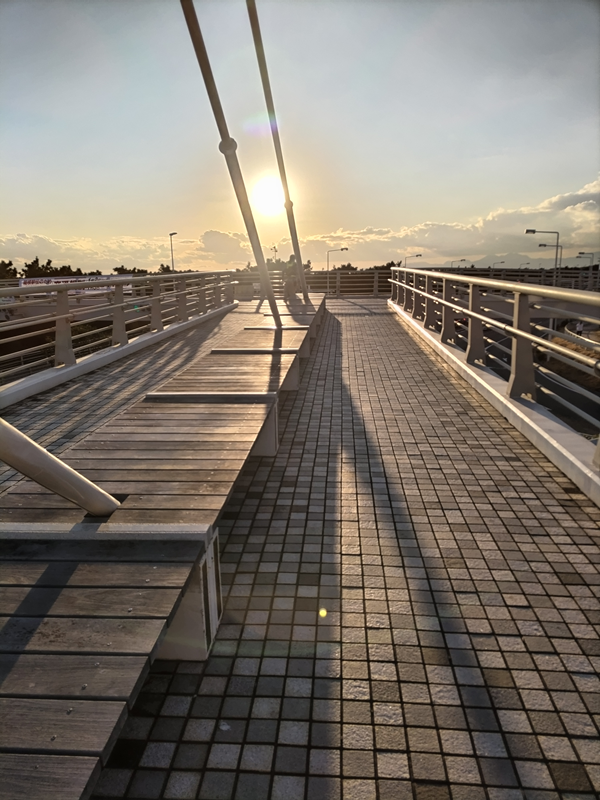 元ニート引籠りのセル齋藤が見ていた夕方の歩道橋の上の、夕陽に照らされるベンチ