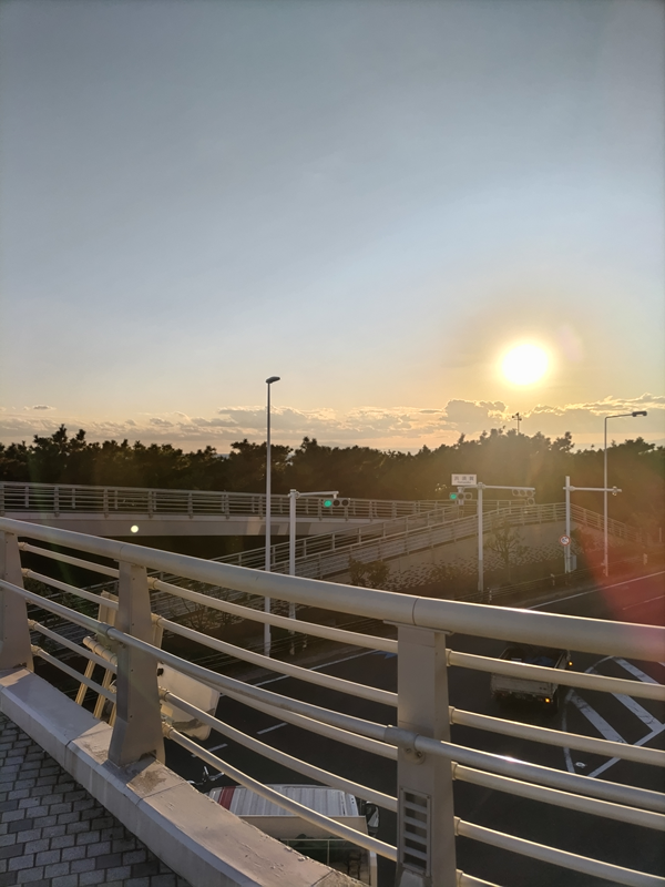 元ニート引籠りが眺めていた黄金色に輝く太陽と夕陽に照らされた歩道橋