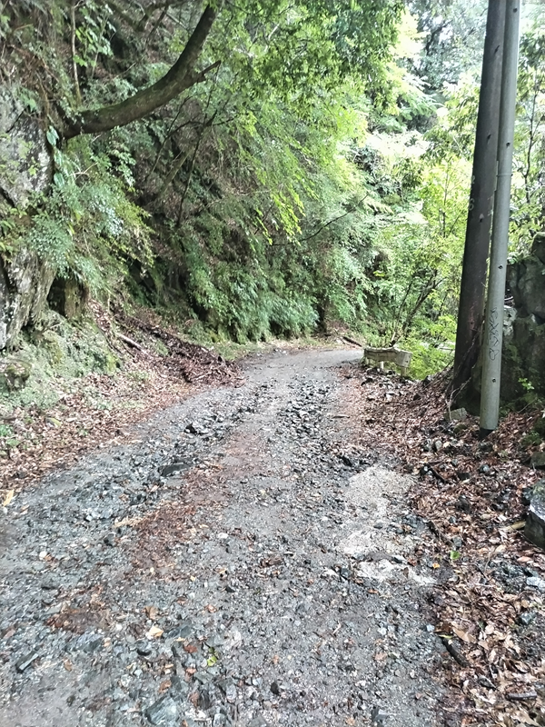 ユーシン渓谷への旅126