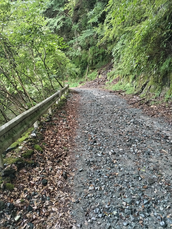 ユーシン渓谷への旅125