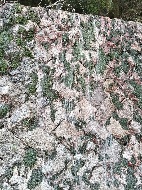 ユーシン渓谷への旅32