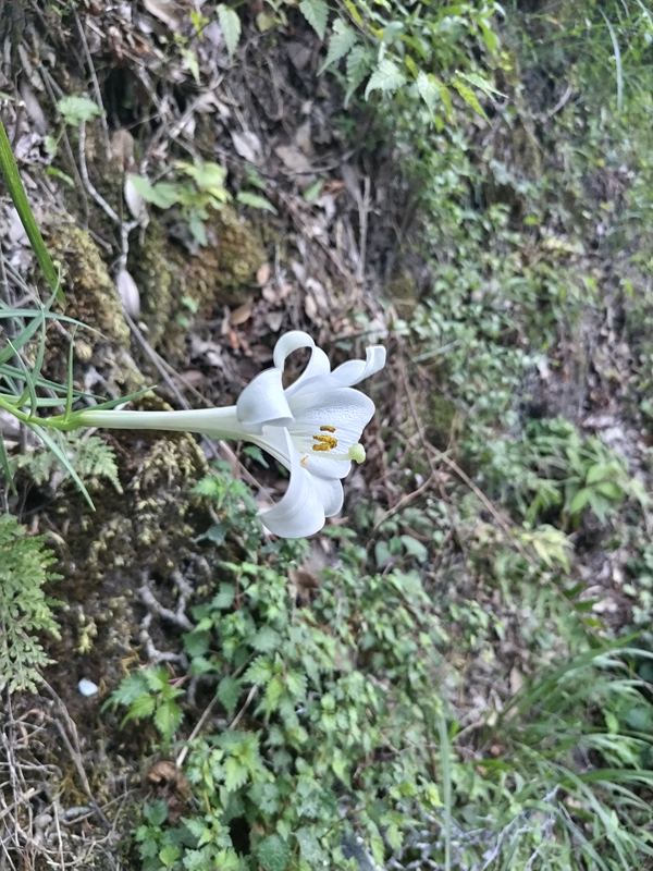 ユーシン渓谷への旅165